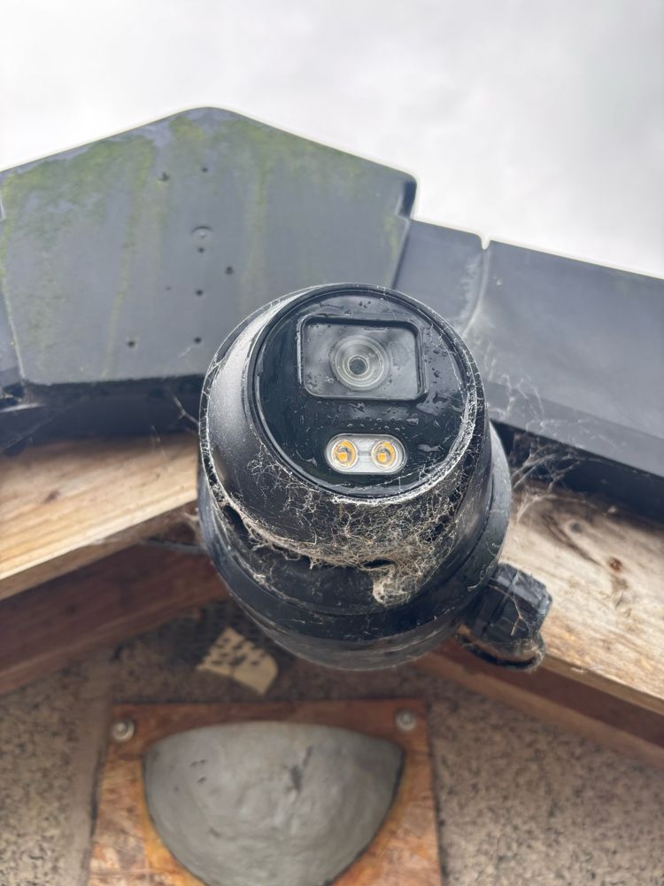Farm camera covered in cobwebs, cleaned at the yearly checkup